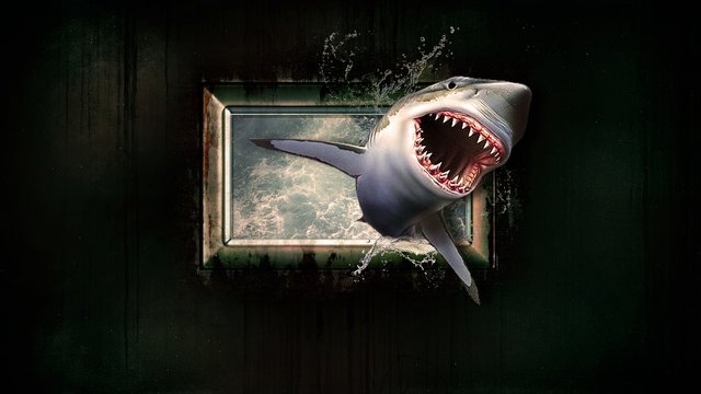 shark-1626288_1280.jpg