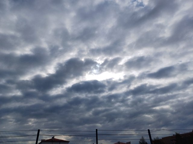 20250628_082240.jpg
