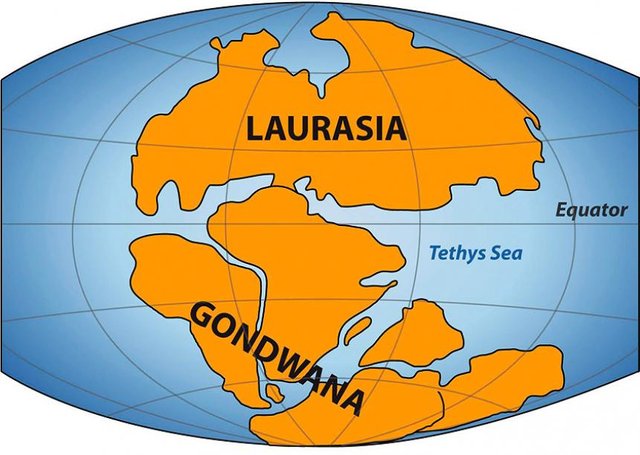 laurasia-gondwana.jpg