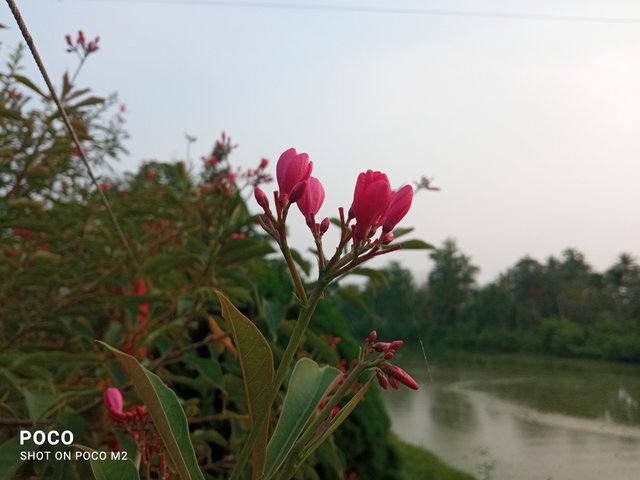 IMG_20250605_175923.jpg