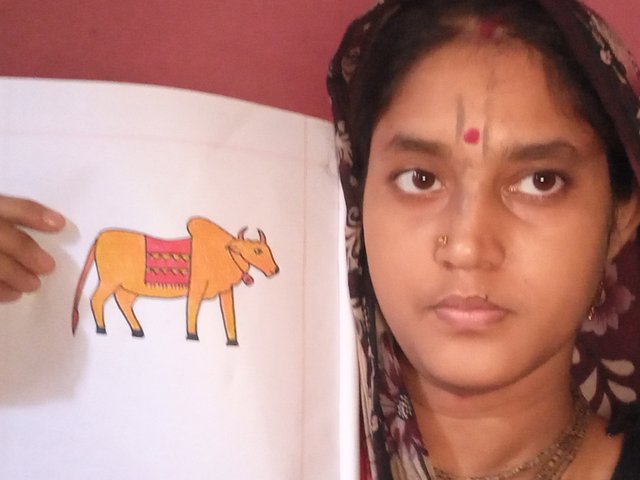 20250606_113512.jpg