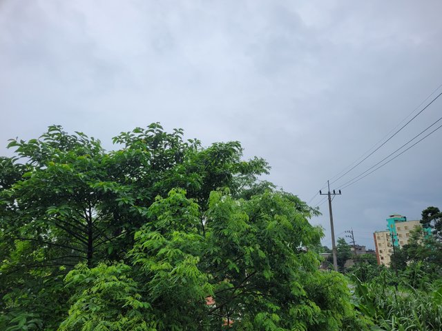 20250709_101705.jpg