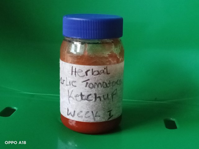 IMG20251001180155.jpg