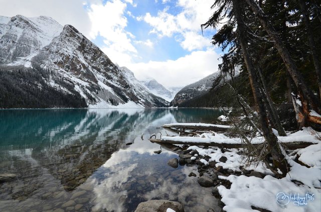 lake louise.jpg