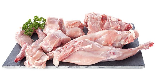 7 Benefits Of Rabbit Meat For Health Steemit