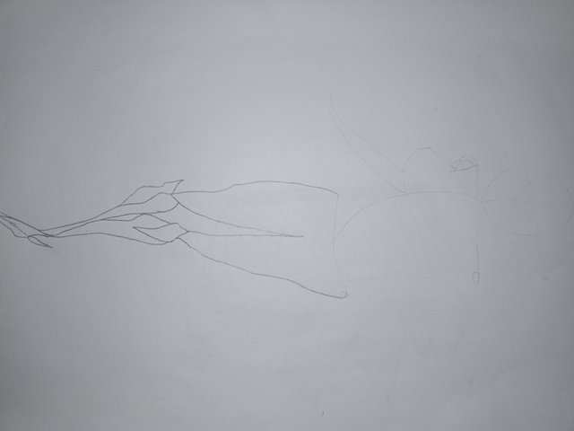 IMG_20250707_123820_680.jpg