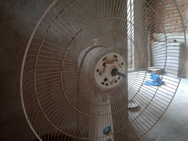 1000004047.jpg