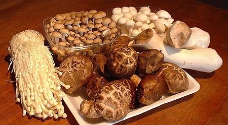 medicinal-mushrooms.jpg