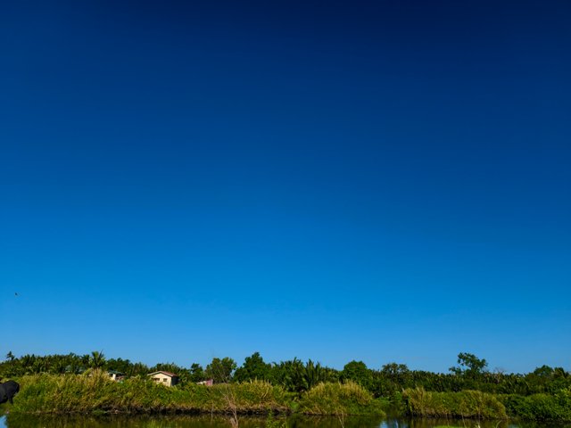 IMG_20250328_081644.jpg