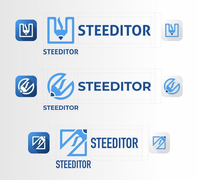 SteEditor Logo.jpg