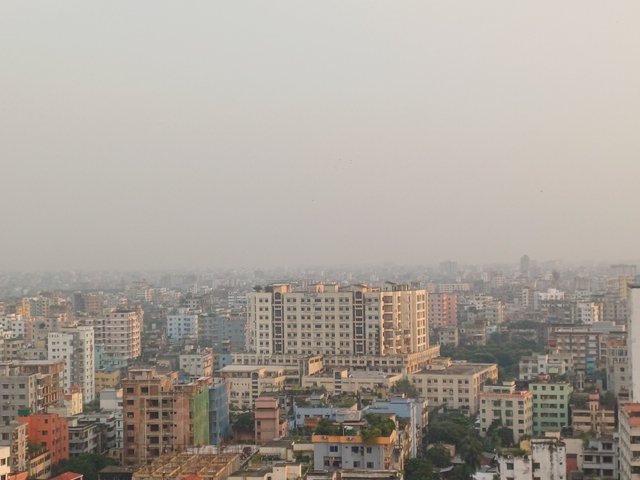 20250928_172205.jpg