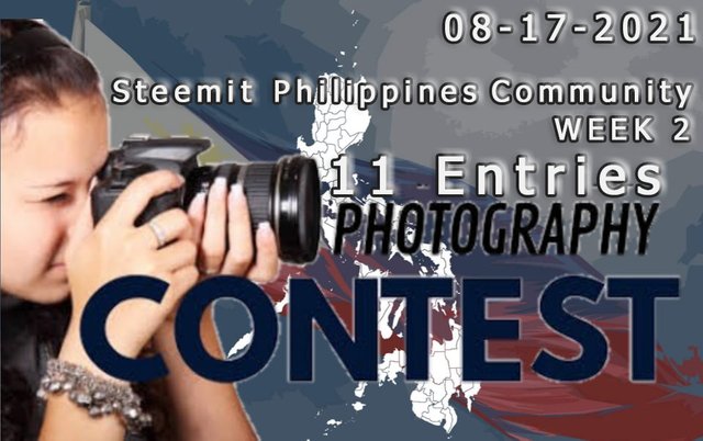 photography contes Week 2 (08-17).jpg