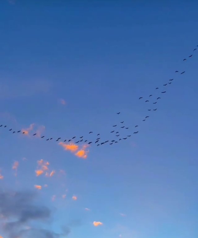 1749836984560.jpg