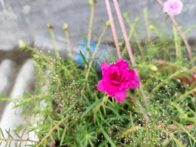 IMG_20250619_121742.jpg