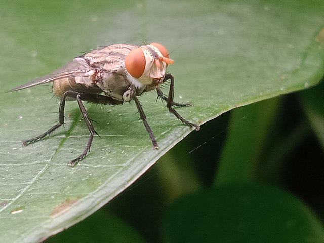 IMG20250925100246.jpg