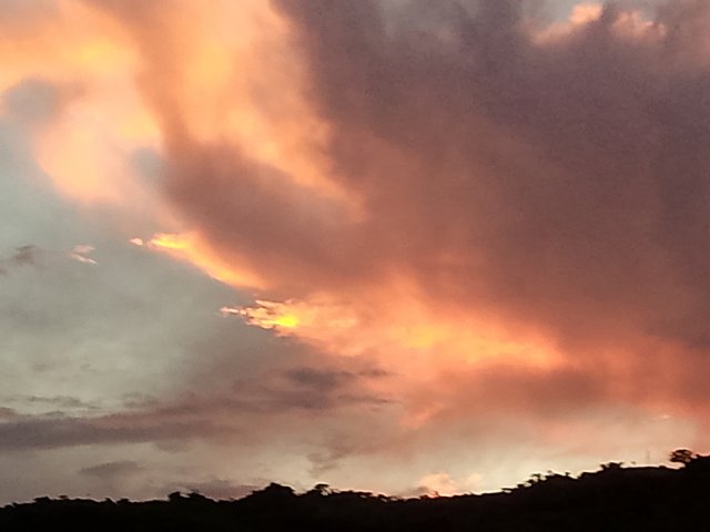 FotoGrid_20250729_182417400.jpg