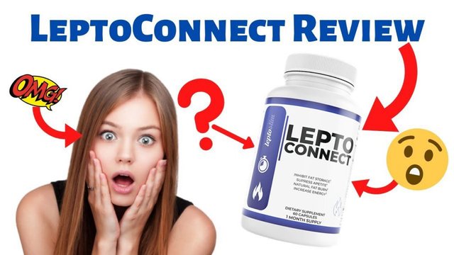 Leptoconnect-1024x576.jpeg