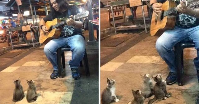 street-singer-was-ignored-by-everyone-then-4-kittens-came-to-show-their-support-758x397.jpg