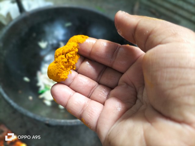 IMG20250425135600.jpg