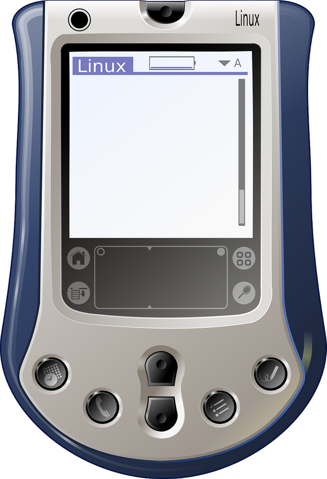 palm-155529_1280.png