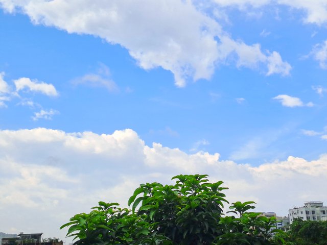 20250713_154556.jpg