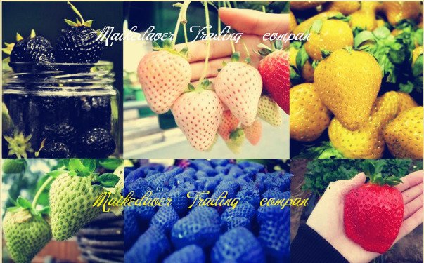 50-PCS-6-Types-of-Strawberry-Seeds-a-total-of-300-PCS-Seeds-Black-White-Yellow.jpg