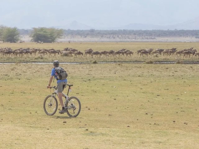 Top 8 Best Experiences on Tanzania Safari Holiday.jpg