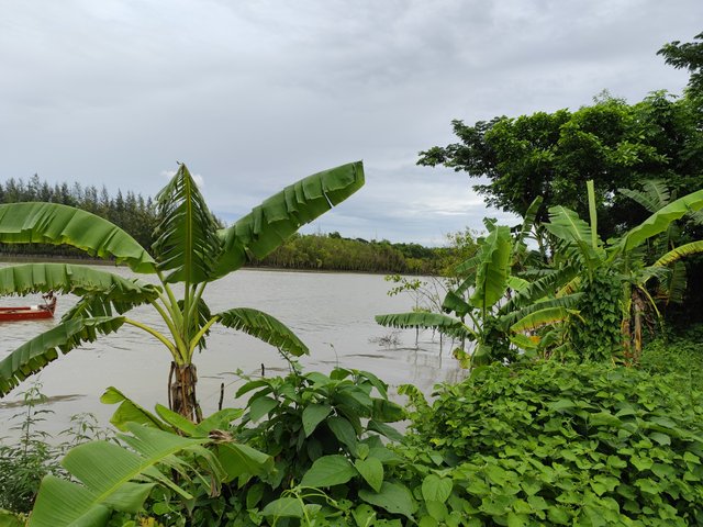 IMG_20250528_161949.jpg