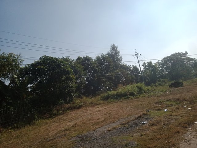 IMG20241206100621.jpg