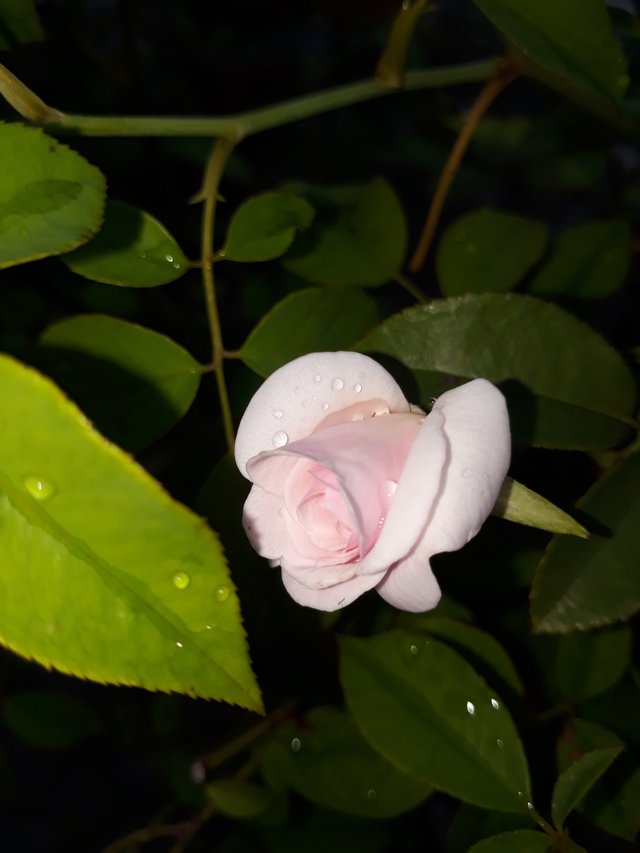 20200915_165410.jpg