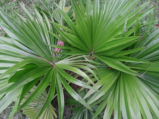 IMG20250519181713.jpg
