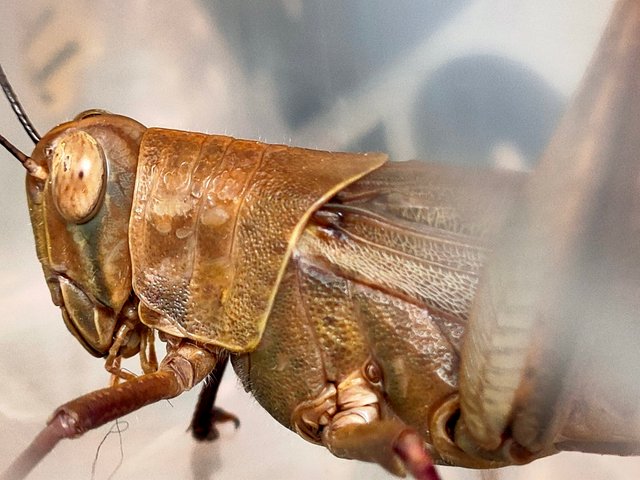 IMG20230924131102.jpg
