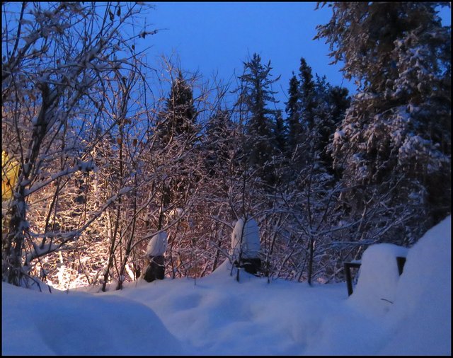 Long exposure early dawn blue sky tree silhouettes path in snow leads to lighted area from grow light plus 2 exposure.JPG