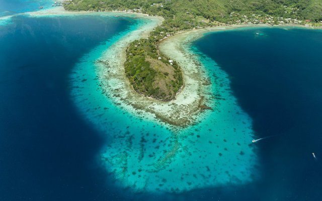 hydravion-tahiti-air-charter-bora.jpg