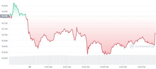 BTC_1D_graph_coinmarketcap (3).jpg