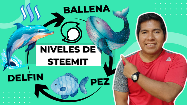 Los Niveles de Steemit Revelados Eres Pez, Delfín o Ballena.png