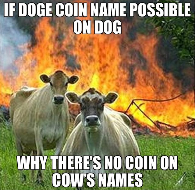 Dog vs Cow.JPG