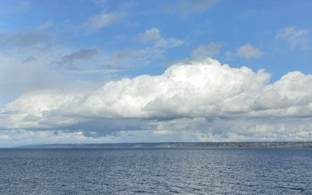 20250317_011439.jpg