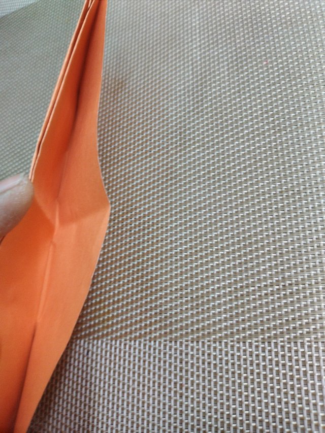 20250626_121445.jpg
