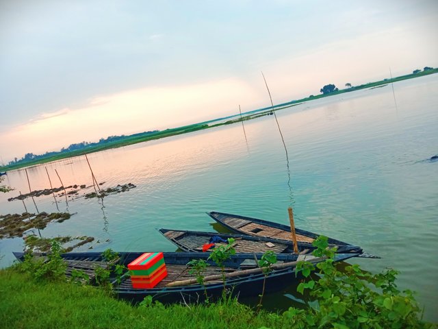 IMG_20250720_152829.jpg