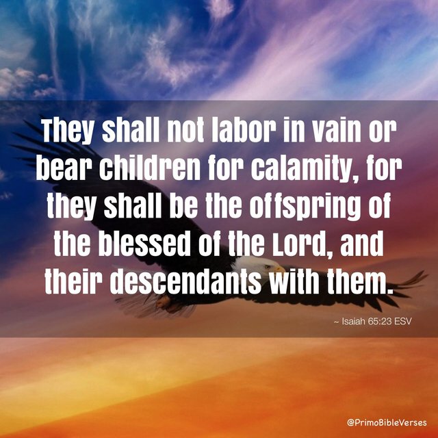 they-shall-not-labor-in-vain-or-bear-children-for-calamity-for-they-shall-b-esv12087.jpg