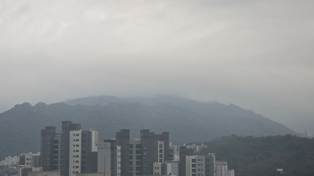 1000142062.jpg