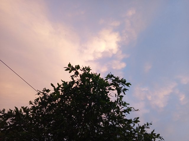 IMG_20250706_184946_583.jpg