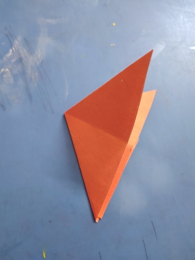20250529_115209.jpg