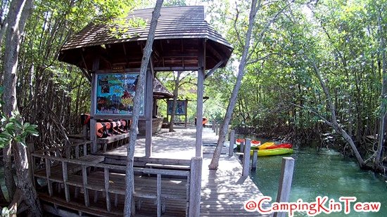 ST-พายเรือคายัค-คุ้งกระเบน-03.jpg