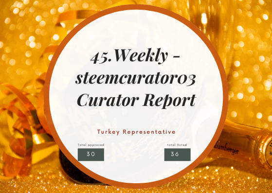 Second Weekly -steemcurator03 Turkey Curator Report.png