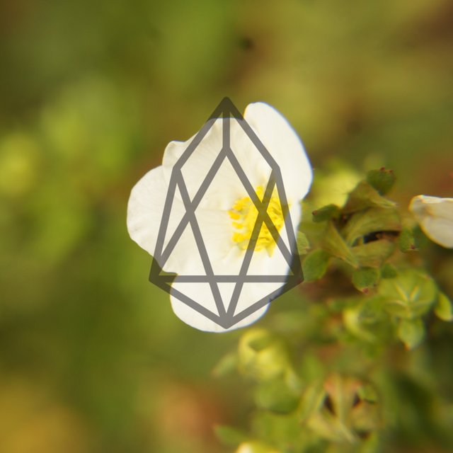 eos_pic.jpg