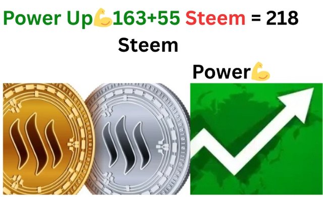 163 55 Steem=218 Steem Power_20250601_135606_1.png