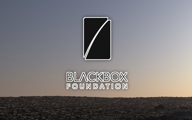 Proekt-Blackbox-Foundation.jpg