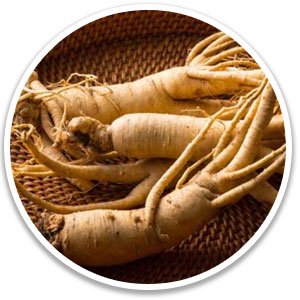 ginseng.jpg